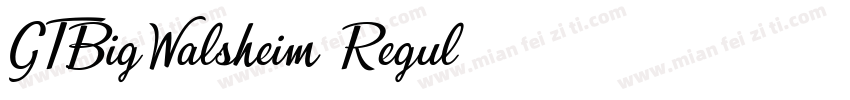 GTBigWalsheim Regul字体转换